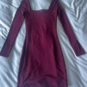 Aritzia Bodycon Dress